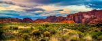 Snow Canyon Colors