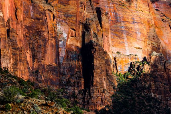 illuminated sandstone cliff in Zion