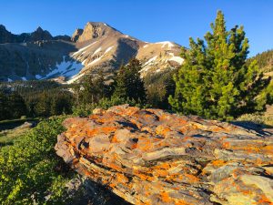 Wheeler Peak, Great Basin