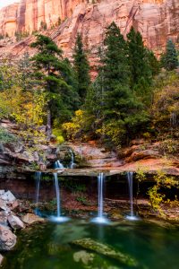 Double Falls. Right Fork of North Creek. Zion National Park.