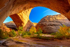 Coyote Gulch Jacob Hamblin Ach