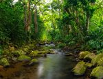 Hawaii2018DSC_1729-Pano