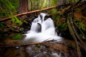 Forsyth Waterfall in Pine Valley